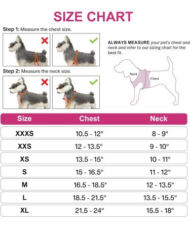 Joyal Reflective Soft Padded Dog Harness for Small Dogs | Air-Mesh Breast Dishes in Bright Pink | Perfect Fit for Puppies (S: 38-42cm) - Buy Online on GoSupps.com