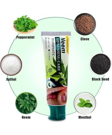 NEEM 7 in 1 Toothpaste-Organic Herbs-Neem Black Seed & Xylitol for Anti Cavity-Cardamom & Mint for Taste & Freshness-Baking Soda for Excellent Cleaning-No Fluoride No Paraben - 3.53Oz(Pack of 3) - Buy Online on GoSupps.com