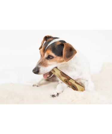 Buy ARTISAN GIFT CO Olive Wood Chew Toy for Dogs - 100% Natural Value Pack of 2 Ideal for Dogs Up to 10 kg (S-12 cm) - Buy Online on GoSupps.com