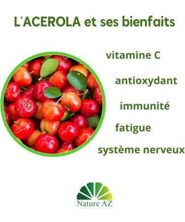 ACEROLA EN POUDRE (100g) 100 g (Lot de 1) - Buy Online on GoSupps.com