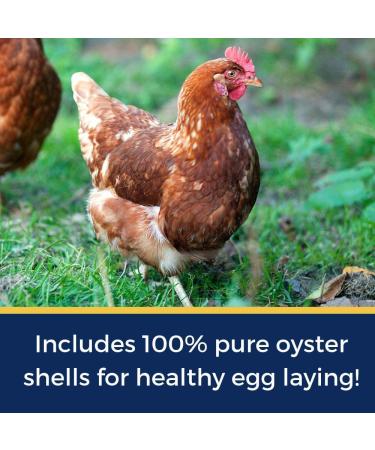Pampered Chicken Mama 1.25 lb Backyard Chicken Treats - Natural Feed for Great Eggs - High Calcium Hen Supplement (10 oz) - Buy Online on GoSupps.com