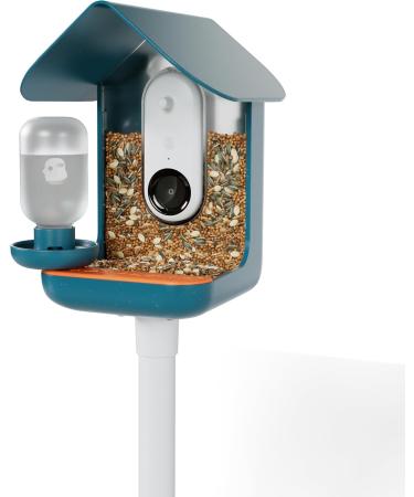 Bird Buddy Original 3-in-1 Feeding Set | Water Fountain Fruit Skewer & Jelly Tray - Blue Color | International Shipping - Buy Online on GoSupps.com