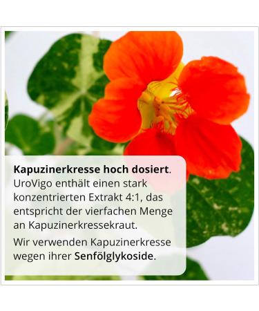 Urovigo Women Capsules - 5 Cans for Bladder Health | Vitamin A Zinc & 8 Plant Complex | Boost Immunity & Support Mucous Membranes - Buy Online on GoSupps.com