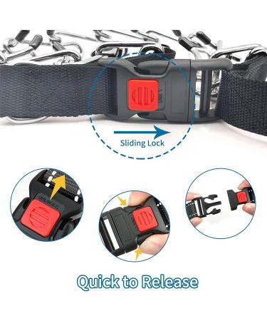 Dog Training Collar Metal Choke Chain for Dog Adjustable Durable Thick Prong Collars Dogs Anti Bark Collars for Large Medium Small Dogs Outdoor Trainings - Buy Online on GoSupps.com