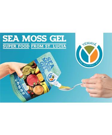 Organic Sea Moss Gel (Pineapple Flavor) - 16 oz - Wildcrafted from St. Lucia - Yemaya The Natural Way - Buy Online on GoSupps.com