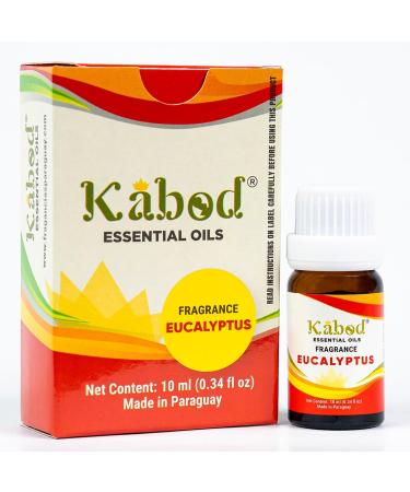 Kabod Eucalyptus Essential Oil - Aromatherapy Blend for Diffusers Humidifiers Aroma Stoves Soap and Candles - Fragrance Oil for Home - 10ML Bottle with Dropper Eucalyptus 0.34 Fl Oz (Pack of 1)