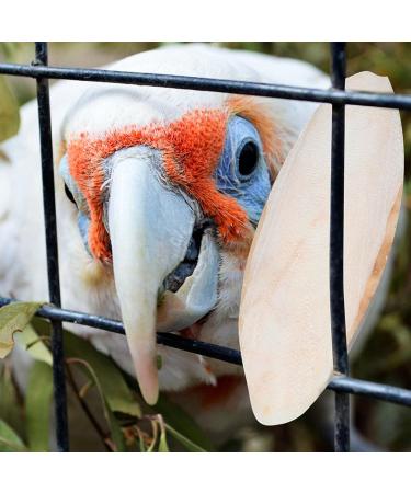 20 Pieces Tall Sepia Shells - Natural Sepia Bowls for Turtles Birds & Reptiles | Cuddly Bones & Feed Toys - Buy Online on GoSupps.com