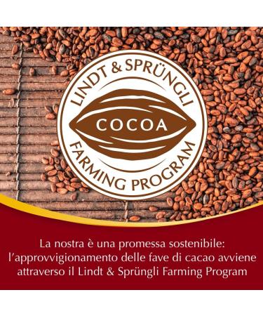 Lindt Lindor Double chocolat Praline au chocolat au lait avec remplissage fondant 16 chocolats paquet de 200 g Chocolat 200g - Buy Online on GoSupps.com