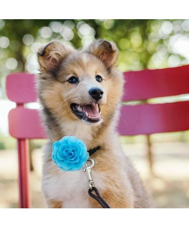 LUTER 4pcs Pet Collar Flowers Multicolored Dog Flower Tie&Bow Floral Collar Charms Accessories Detachable Flower Embellishment for Cats Dogs Pets Supplies (8cm/3.14inch) - Buy Online on GoSupps.com