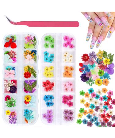 2 Boxes Dried Flowers for Nail Art  KISSBUTY 24 Colors Dry Flowers Mini Real Natural Flowers Nail Art Supplies 3D Applique Nail Decoration Sticker for Tips Manicure Decor (Daffodil Hydrangea Daisy)