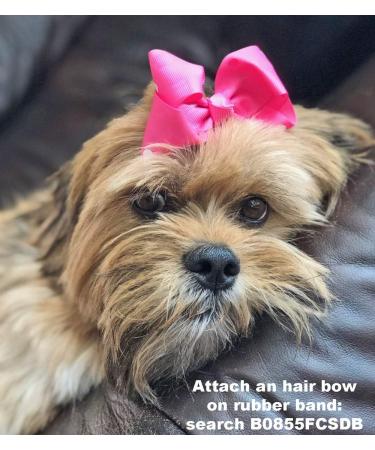 200 Clear Hair Ties Rubber Bands for Women/Girls & Pet Grooming - Hair Accessories for Styling, Dog Top Knots & Bows - 200ct - Buy Online on GoSupps.com