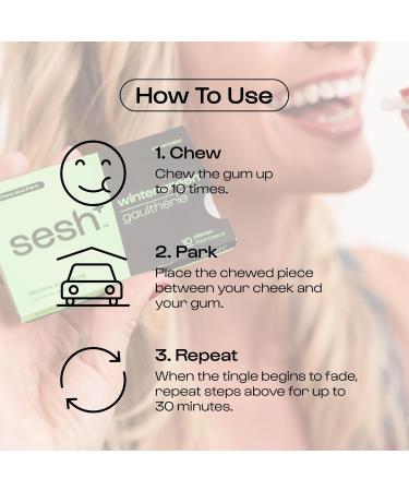 Sesh+ Quit Smoking Aid Nicotine Gum smoking cessation aid 4mg Wintergreen 60 Pieces 6 Pack - Buy Online on GoSupps.com