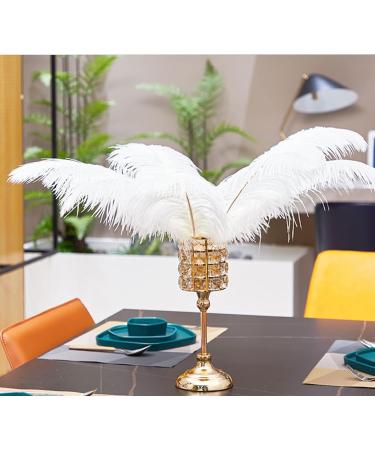 White Ostrich Feathers Craft Pack - 10pcs, 16-18 inch for Wedding, Party, DIY Decor - Buy Online on GoSupps.com