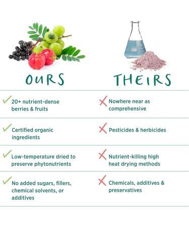 PURE SYNERGY Berry Power 5.3 oz Powder | USDA Organic, Non-GMO, Vegan | 20 Antioxidant-Rich Fruits & Berries - Buy Online on GoSupps.com