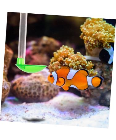 Balacoo 1 Set Fish and Shrimp Feeder Aquarium Accessories Fish Feeder Aquarium Feeder Shrimp Tank Shrimp Tank Accessories Fish Tank Accessory Shrimp Feeder Vacation 15X5X3CM As Shown - Buy Online on GoSupps.com