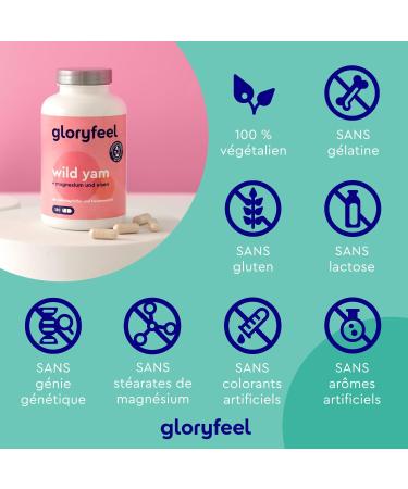 Wild Yam Extract (312 mg) with Chasteberry Alchemilla Magnesium and Iron (180 Capsules) Pure and Highly Dosed Yam Reduces Fatigue and Supports Immune System* 100% Vegan - Buy Online on GoSupps.com