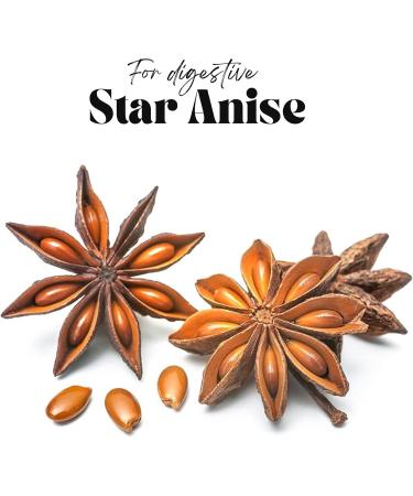 OLANTA TRADE SOLUTION Candida Support Supplement - Immune System Booster Support ntestinal Health Digestive Health Supplement with Probiotics Women & Men - 2 Bottles 120 Capsules - Buy Online on GoSupps.com