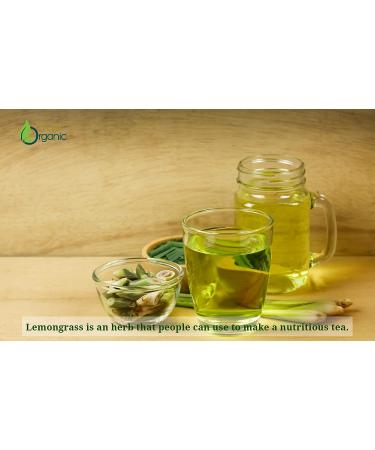 Organic Lemon Grass Powder 3.5 oz - USDA Certified, Non-GMO, Pure Ceylon Premium Quality - Buy Online on GoSupps.com