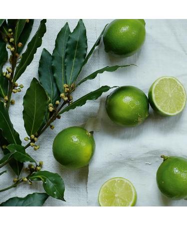 Buy The White Company Lime & Bay Bath & Body Gift Set - Luxury International Shipping Available - Buy Online on GoSupps.com