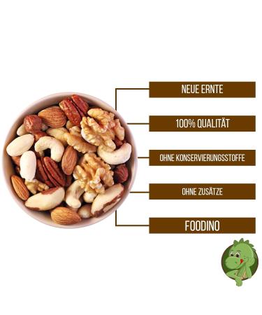 Buy Nut Mix of Nature: Almonds Hazelnuts Cashews Pecans & Walnuts - All-Natural 500g to 5kg Student Feed Mix in Practical Bucket - Buy Online on GoSupps.com