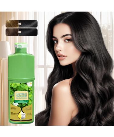  G n rique Hair Color Mousse Long-Lasting Dye Coloring Shampoo | 500ml Natural Mousse for Gray Hair Men and Women | Plant-Based Coloring Shampoo Easy Home Application - Buy Online on GoSupps.com