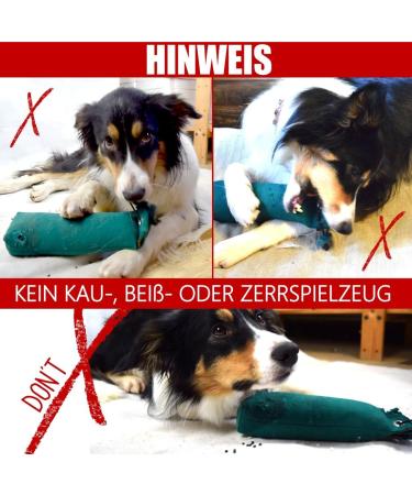 Romneys Junior Dummy for All Dog Breeds - 250g Floating Training Toy (Green) | International Shipping - Buy Online on GoSupps.com