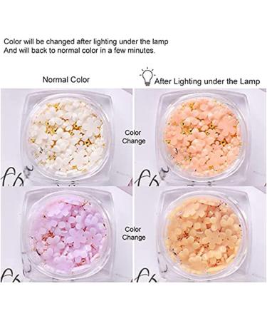 Tdkfdswdoa 6 Boxes of Light Change 3D Nail Flowers Accessories with Gold and Silver for Mixed DIY Jewelry Art Decorative Supplies - Buy Online on GoSupps.com