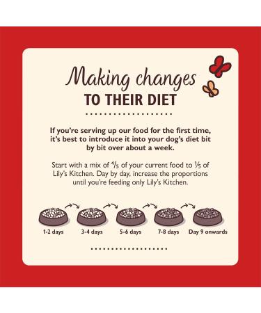 Lily s Kitchen Made with Natural Ingredients Adult Dry Dog Food Beef Stew with Ancient Grains 1kg Bag Beef 1 kg (Pack of 1) - Buy Online on GoSupps.com