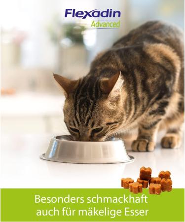 Flexadin Advanced Cat - Joint Health Supplement with UC-II Collagen | 60 Gelatin Capsules for Cats - Buy Online on GoSupps.com