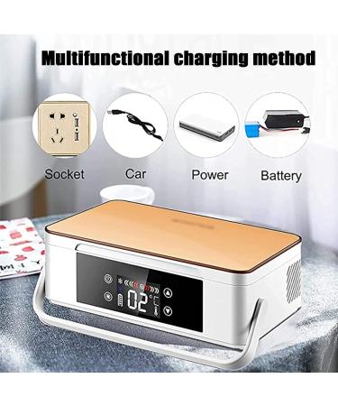 Insulin Cooler Refrigerated Box Portable Car Refrigerated Travel Case Keeping Cooling 2-8 Built-in Rechargeable Lithium Battery for Diabetic Medication Organizer Champagnegold-220V-Battery*1 - Buy Online on GoSupps.com