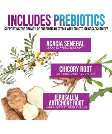 Daily Probiotic for Women & Men 60 Billion CFU 10 Strains Supplement Lactobacillus Probiotics - Digestive Gut & Immune Health Support - Supports Occasional Constipation Gas & Bloating - 120 Capsules 120 Count (Pack of 1) - Buy Online on GoSupps.com
