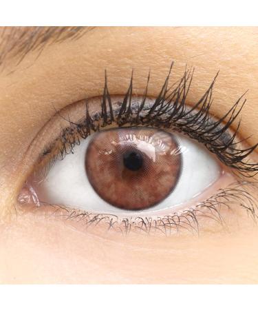 Very covering and natural brown contact lenses Silicon Comfort Novelry "Lucca Brown" + container of Glamlens - 1 pair (2 pieces) - Dia 14.00 - Without strength 0.00 Dioptries