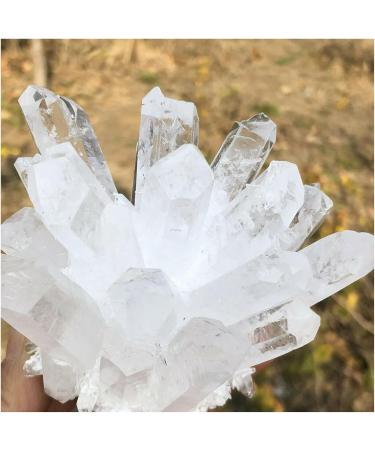 Natural Crystal Rough Natural Crystal Rough Natural Rare White Quartz Crystal Cluster SpecimenAntiques Exorcise Evil Spirits Money Drawing Semi-Precious Stone Jade Jewelry Jaspery Natural (Size : 550 550-600g - Buy Online on GoSupps.com