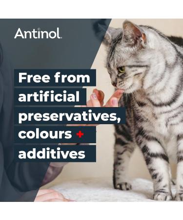 Antinol - Natural Joint Supplement for Adult Cats - Supports Joint Mobility & Skin Health - With Green Lipped Mussels Omega 3 & Vit E - 90 Capsules - Buy Online on GoSupps.com
