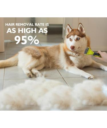 Pecute Double Sided Dog Brush and Comb Set for Grooming | Removes Loose Undercoat Knots and Mats | Dog Grooming Tools | Green - Buy Online on GoSupps.com