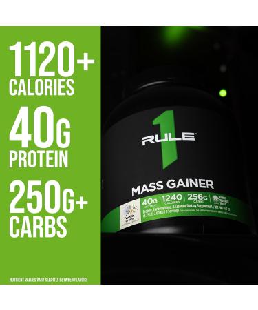 Rule 1 Mass Gainer Cookies & Cream 2560 g Cookies & Cream 2560g - Buy Online on GoSupps.com