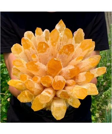 Natural Crystal Rough Crystal Cluster Natural Yellow Phantom Quartz Crystal Cluster Specimen (Size : 500-550g) - Buy Online on GoSupps.com