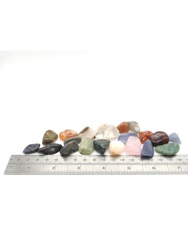 Polished Tumblestone Gemstones Pocket Reiki Chakra Mineral Rocks 100g Pack (18 to 21 Stones) Size: Medium Mix 15mm to 25mm Mixed Stones Medium Mix 15mm - 25mm - Buy Online on GoSupps.com