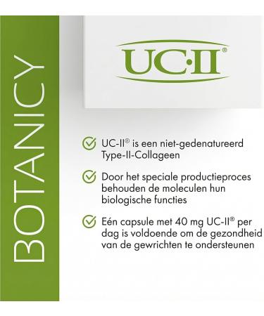 Botany BOTANICY Collagen Aktiv Complex unique cartilagebone complex with patented UCII collagen 100 natural for bones and joint health 30 capsules monthly pack - Buy Online on GoSupps.com