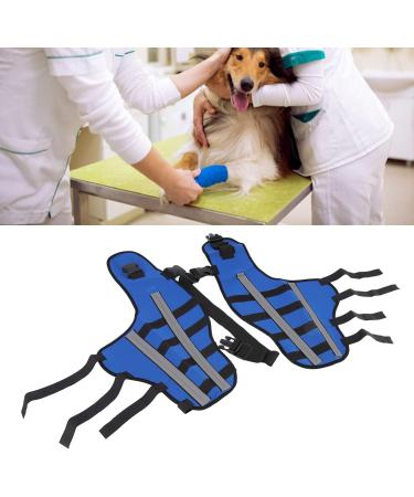 Jauarta Dog Hind Leg Brace Breathable Elastic Shockproof Dog Leg Protector for Pets and Dogs (L) - Buy Online on GoSupps.com