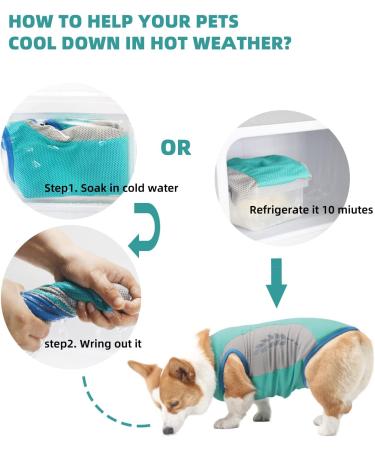 Dog Cooling Vest | Breathable Mesh Dog Jacket for Summer | Cool & Comfortable XL Blue Dog Coat - Buy Online on GoSupps.com