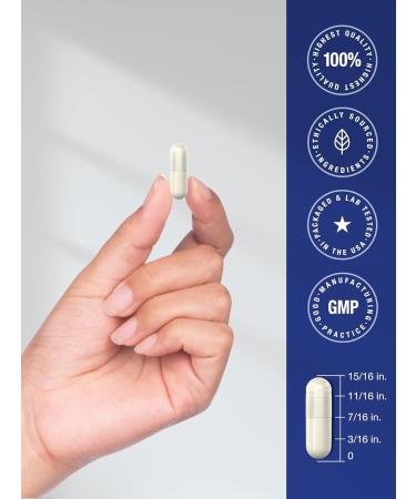 Horb ach Brain Supplement | 120 Capsules | with Phosphatidylserine & DMAE | Advanced Formula for Memory Focus Clarity | Vegetarian & Gluten Free | Neuro Support - Buy Online on GoSupps.com