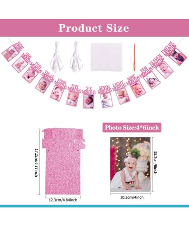 Rose Gold 1st Birthday Decorations for Girls | First Birthday Photo Gallery & Monthly Milestones (4x6 inch) - Buy Online on GoSupps.com