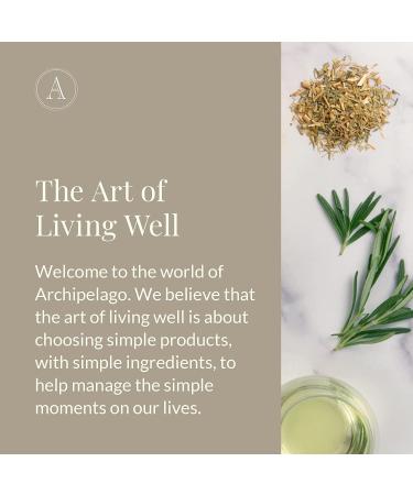 Archipelago Botanicals Oat Creme 3.2 oz - Moisturizing Oat Cream (Pack of 1) - Buy Online on GoSupps.com