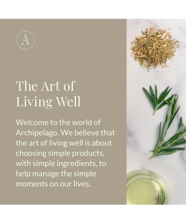 Archipelago Botanicals Milk Hand Wash - Gentle Daily Soap | Cleanse and Hydrate (17 fl oz) - Buy Online on GoSupps.com