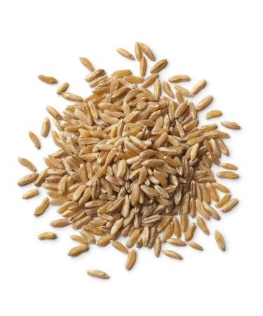 Organic Kamut Grain 1kg (BWFO)