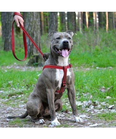 Collardirect Adjustable Reflective Dog Harness - Sizes S M L - Outdoor Walking Gear for Dogs & Puppies - Available in Pink Black Red Purple Mint Green Orange Blue Lindgr n - Buy Online on GoSupps.com