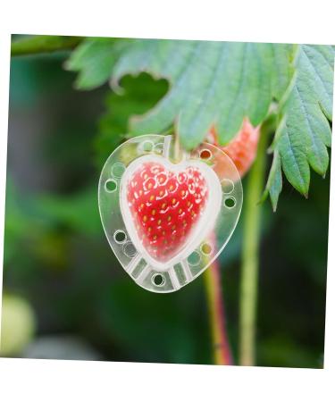 VANZACK Fruit Shaping 4pcs Heart Transparent Fruit Garden Strawberry Forming Jujube Major Melon - Buy Online on GoSupps.com