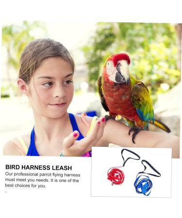 6 pcs Wing Training Cockatiel Parrot Adjustable Bird Leash Blue Belt Pet Conical with Tool Outdoor Lx3pcs Assorted Colorx3pcs - Buy Online on GoSupps.com