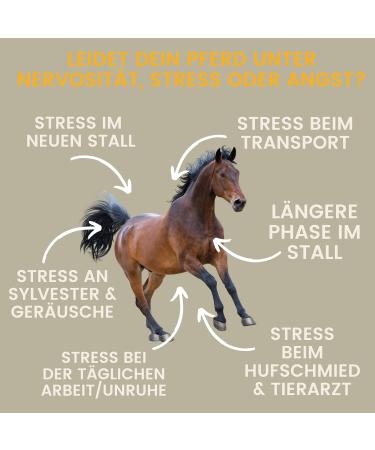 Emma Magnesium for Horses | 1L & 30ml Paste & Liquid | Calm & Relax Nervous Horses | Anti-Stress Nerve Support with Tryptophan - Buy Online on GoSupps.com